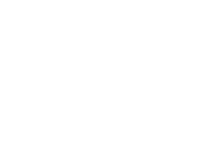 spaser_h450.png