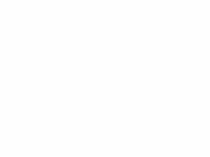 spaser_h450.png